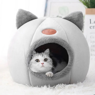 Cat Head Cave Bed