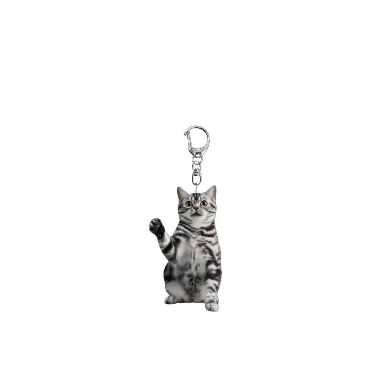 Acrylic Cat Keyring