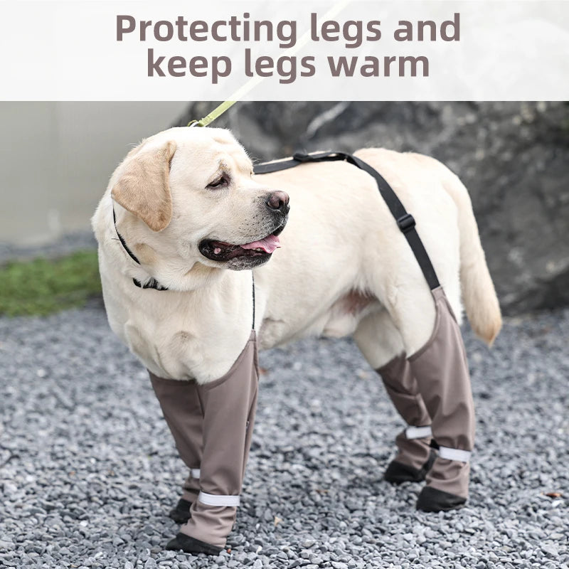 Suspender Dog Boots