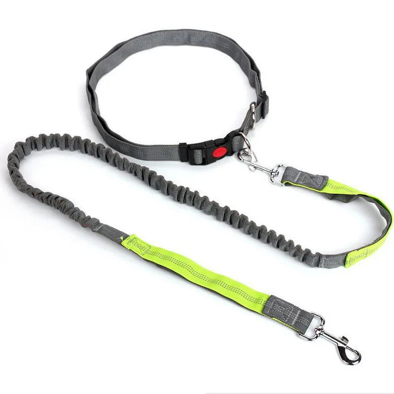 Hands-Free Waist Lead - Grey Green