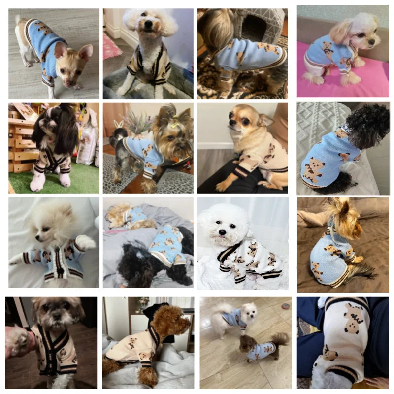 Striped Cardigan Jumper for Small Dogs