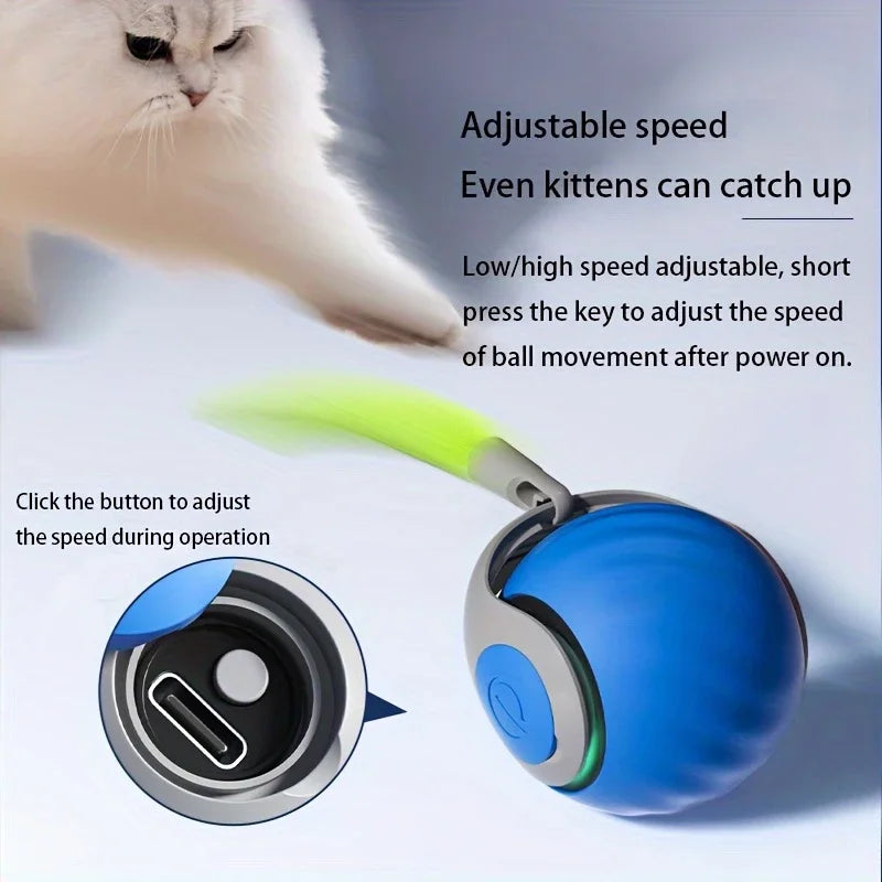 Smart Rolling Teaser Ball Cat Toy
