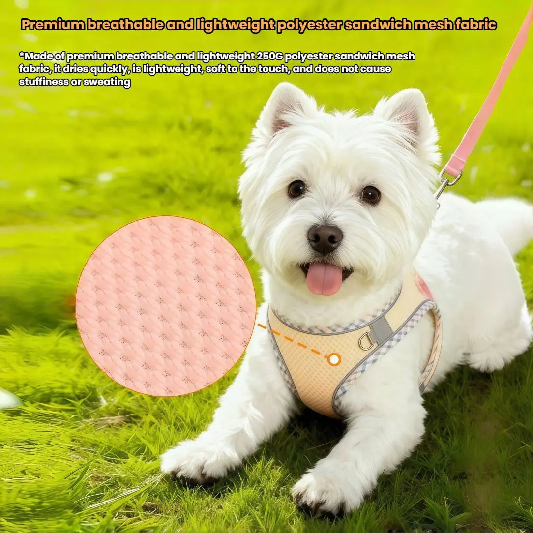 Reflective Mesh Harness and Lead Set