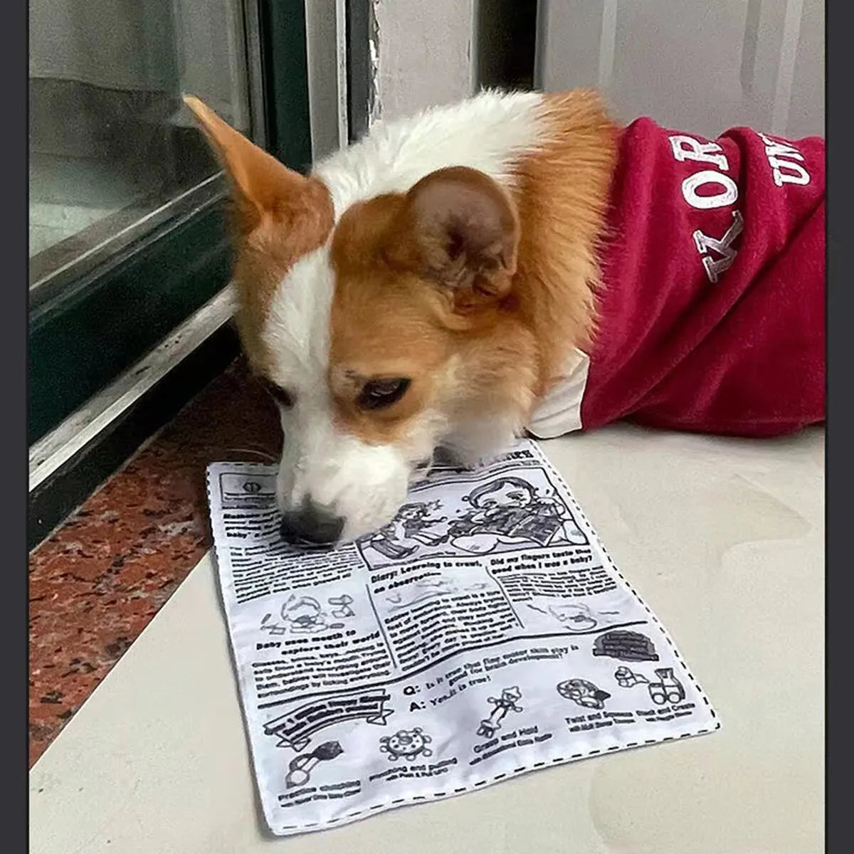 Crinkle Newspaper Dog Toy