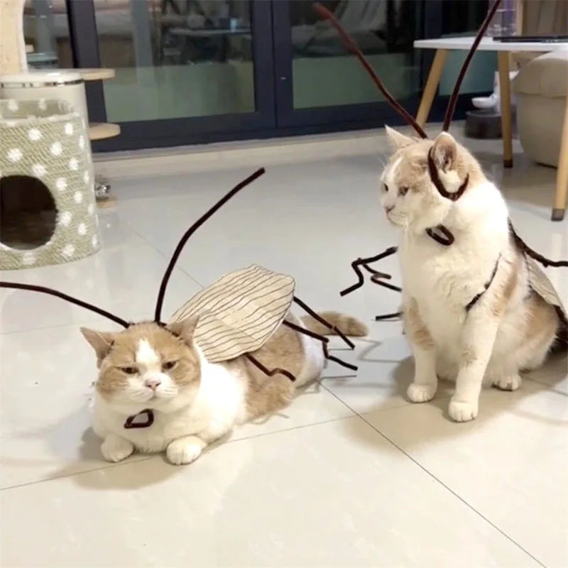 Cockroach Costume for Cats