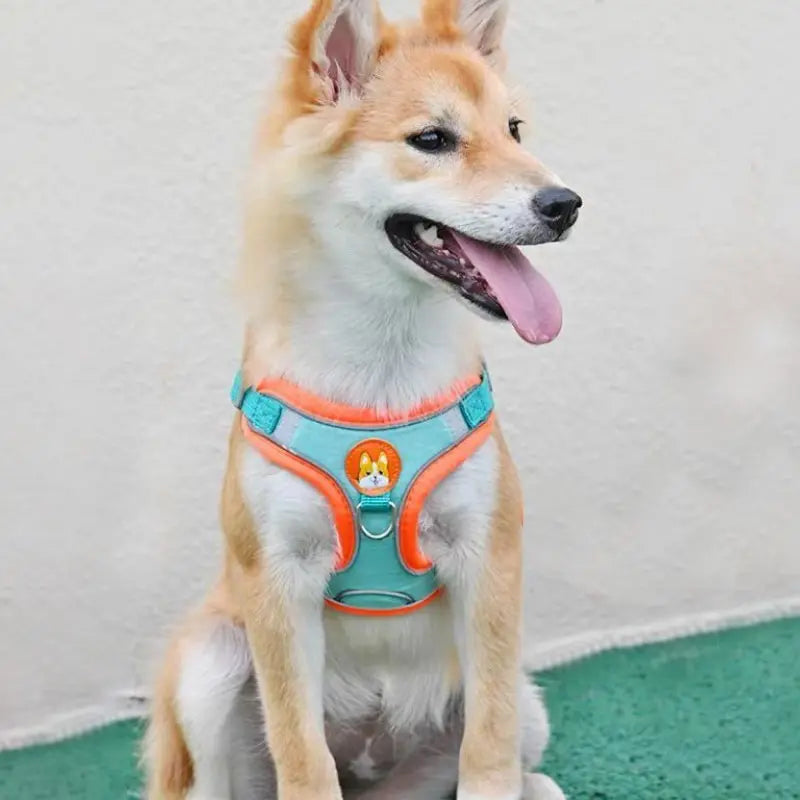 Reflective No-Pull Dog Harness and Lead
