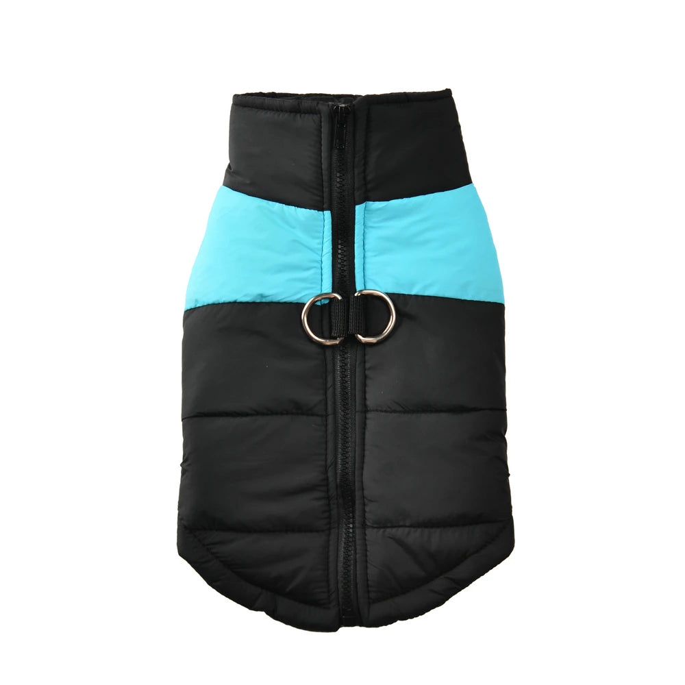 Padded Winter Dog Vest - Blue / XS