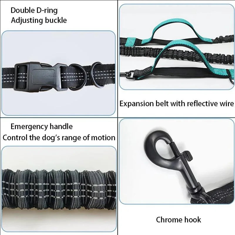 Hands-Free Bungee Running Lead