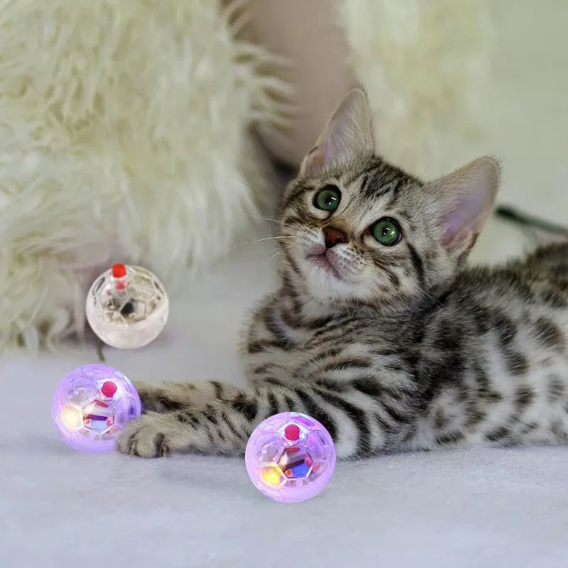 Light-Up Ball Cat Toy