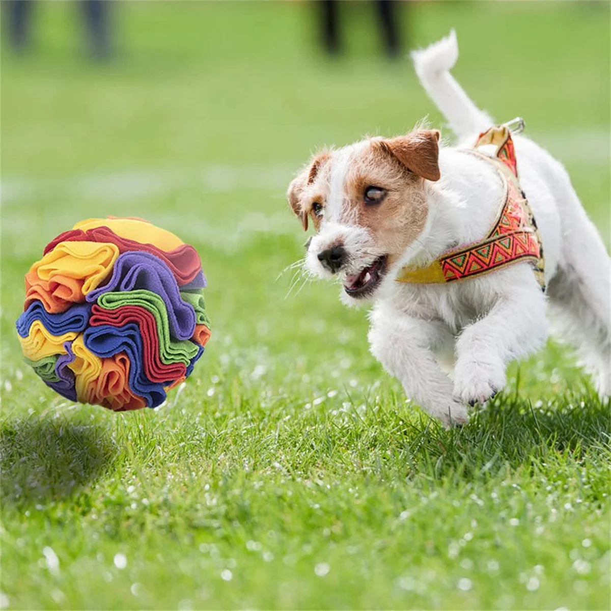 Snuffle Ball Treat Puzzle