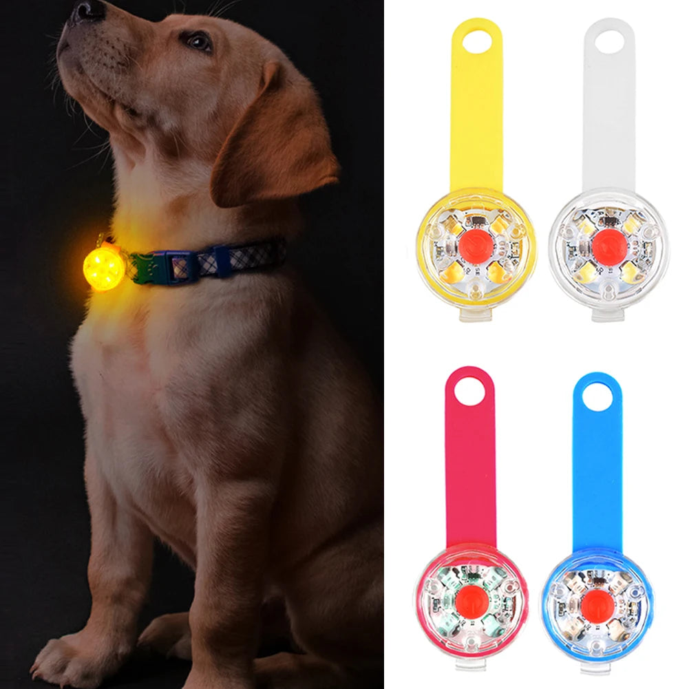 Rechargeable LED Collar Light