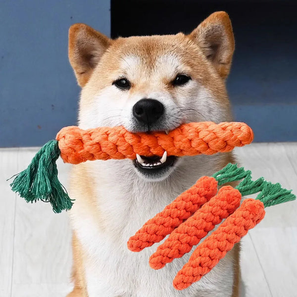 Braided Carrot Rope Dog Toy