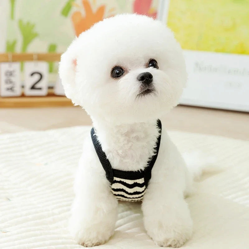 Striped Knit Vest for Small Dogs