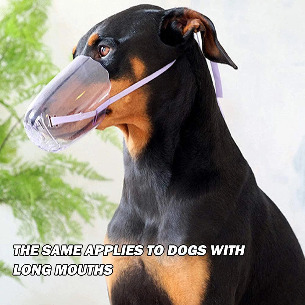 Clear Grooming Muzzle for Cats