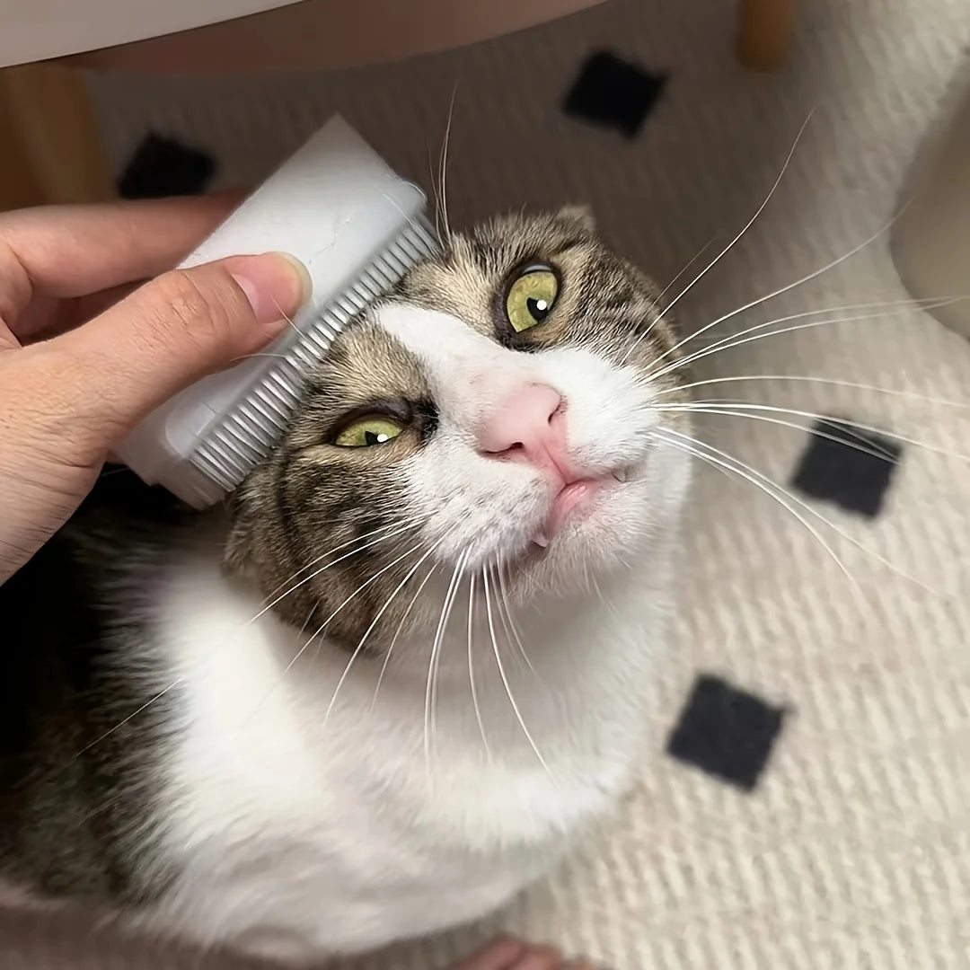 Cat Tongue Grooming Brush