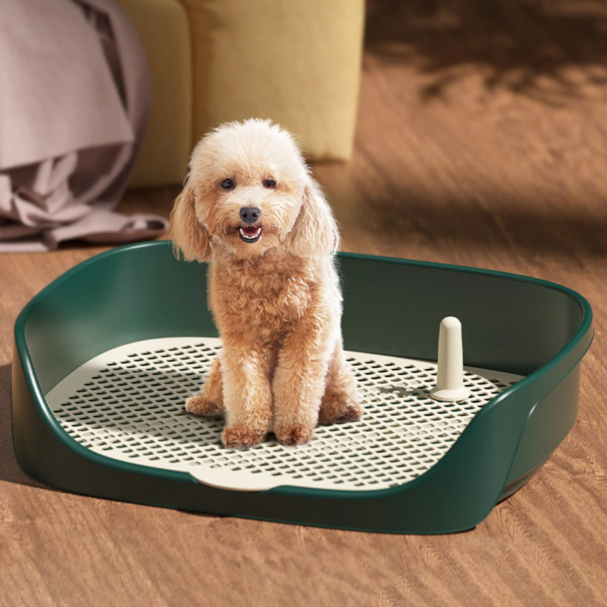 Dog Toilet Tray with Splash Wall