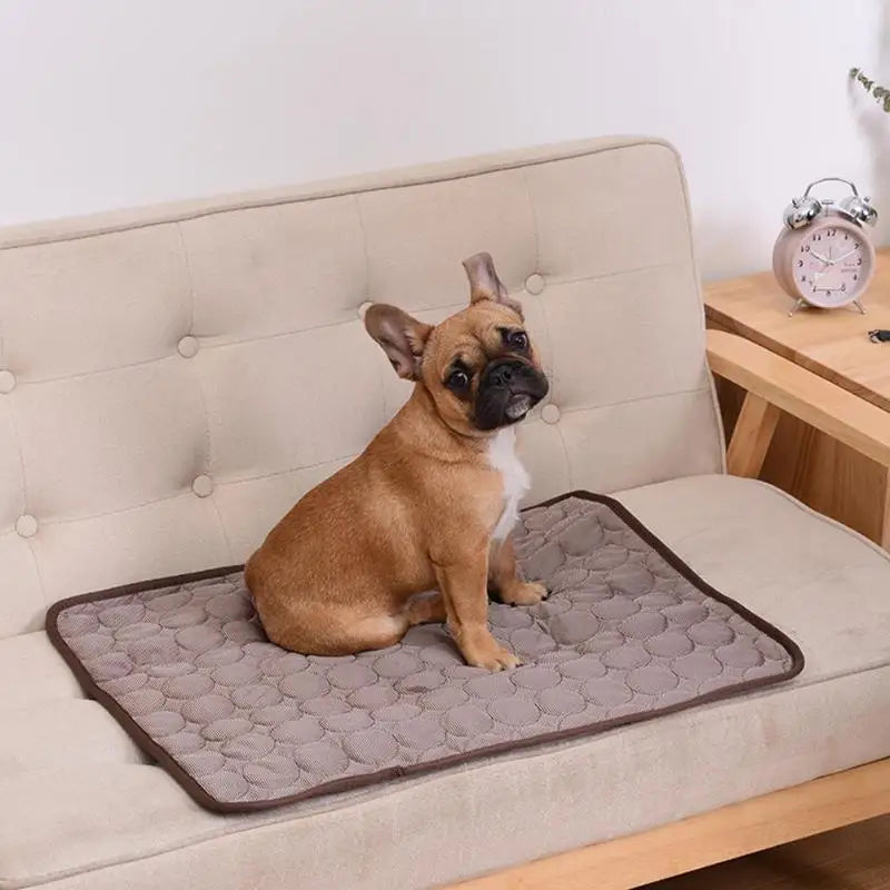 Cooling Mat for Dogs and Cats, Washable