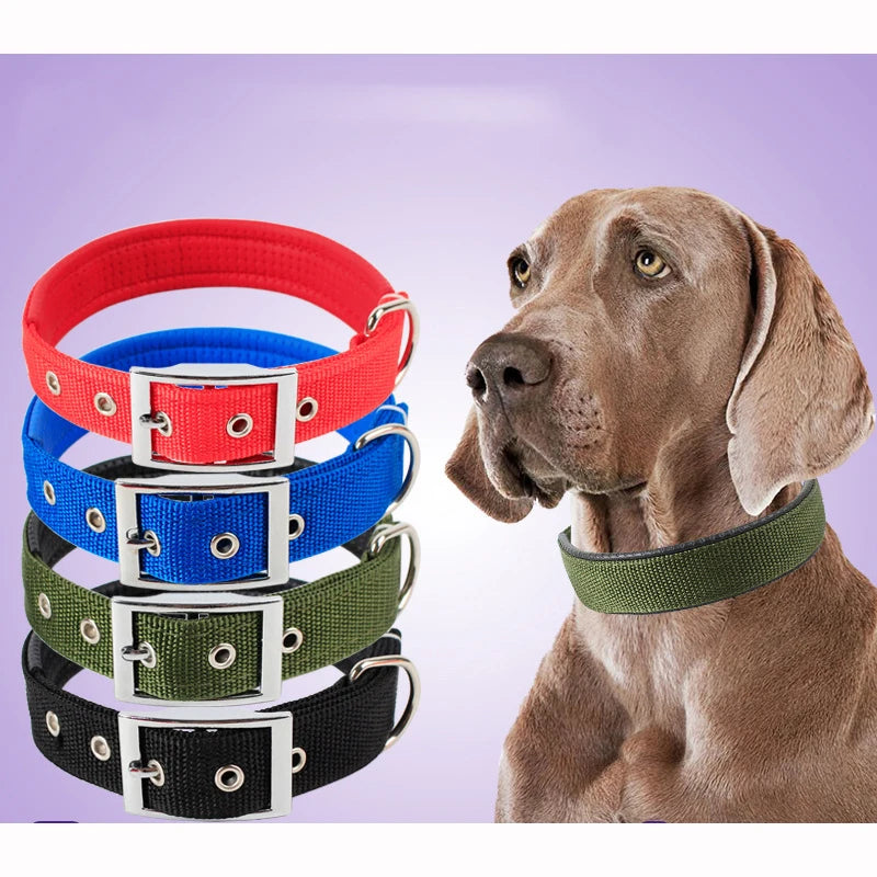 Wide Nylon Dog Collar, Small to Large Dogs