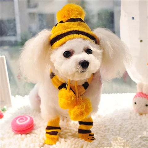 Knitted Striped Pom-Pom Hat Set - Yellow / XXS