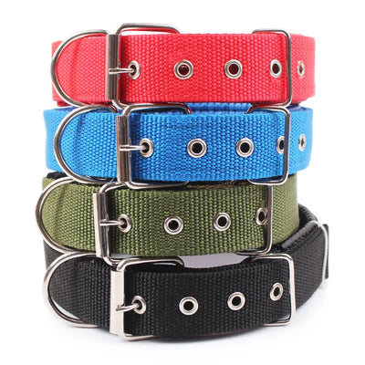 Wide Nylon Dog Collar, Small to Large Dogs