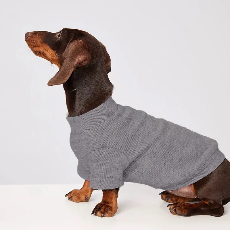 Dachshund Jumper
