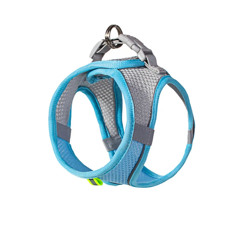 Soft Harness and Lead Set for Puppies and Small Dogs - Blue / XS 1.5-3 kg