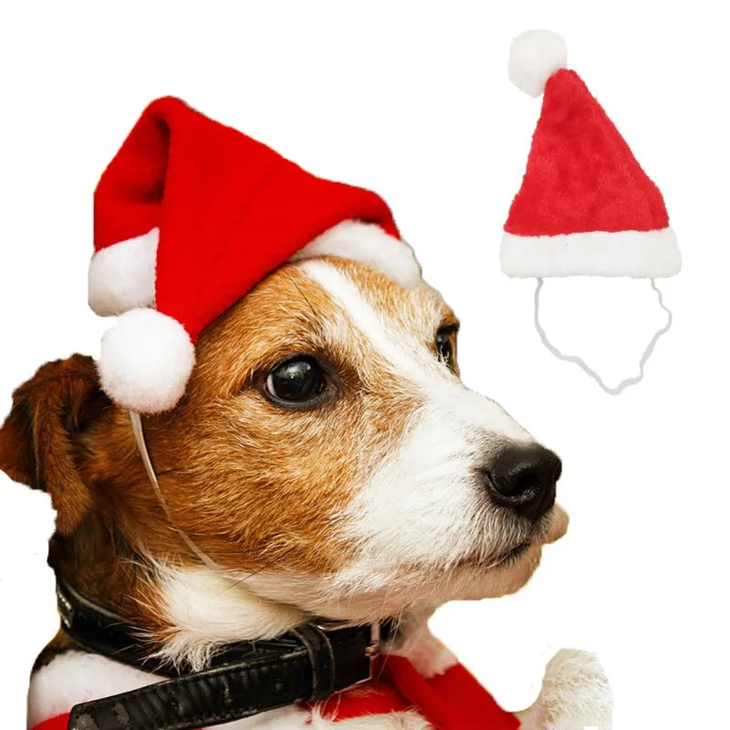 Santa Hat for Dogs and Cats