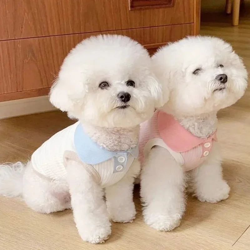 Pet Polo Shirt