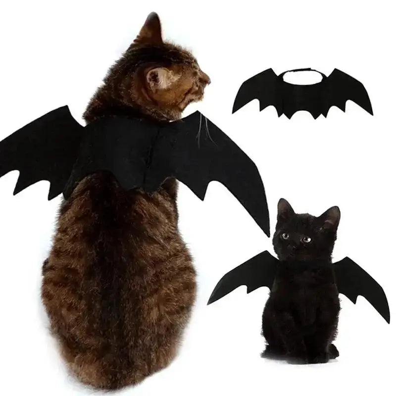 Bat Wings Halloween Costume for Cats and Small Dogs