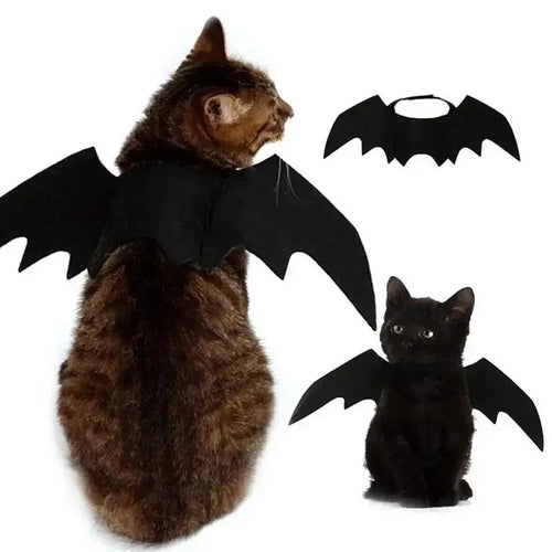 Bat Wings Halloween Costume for Cats and Small Dogs