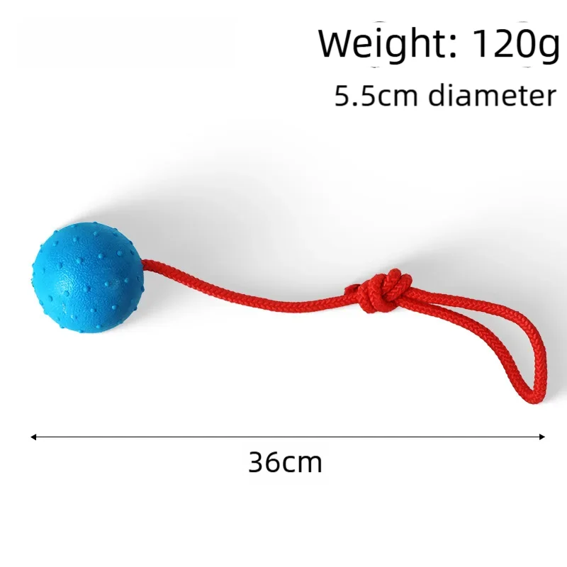 Ball on a Rope Dog Toy