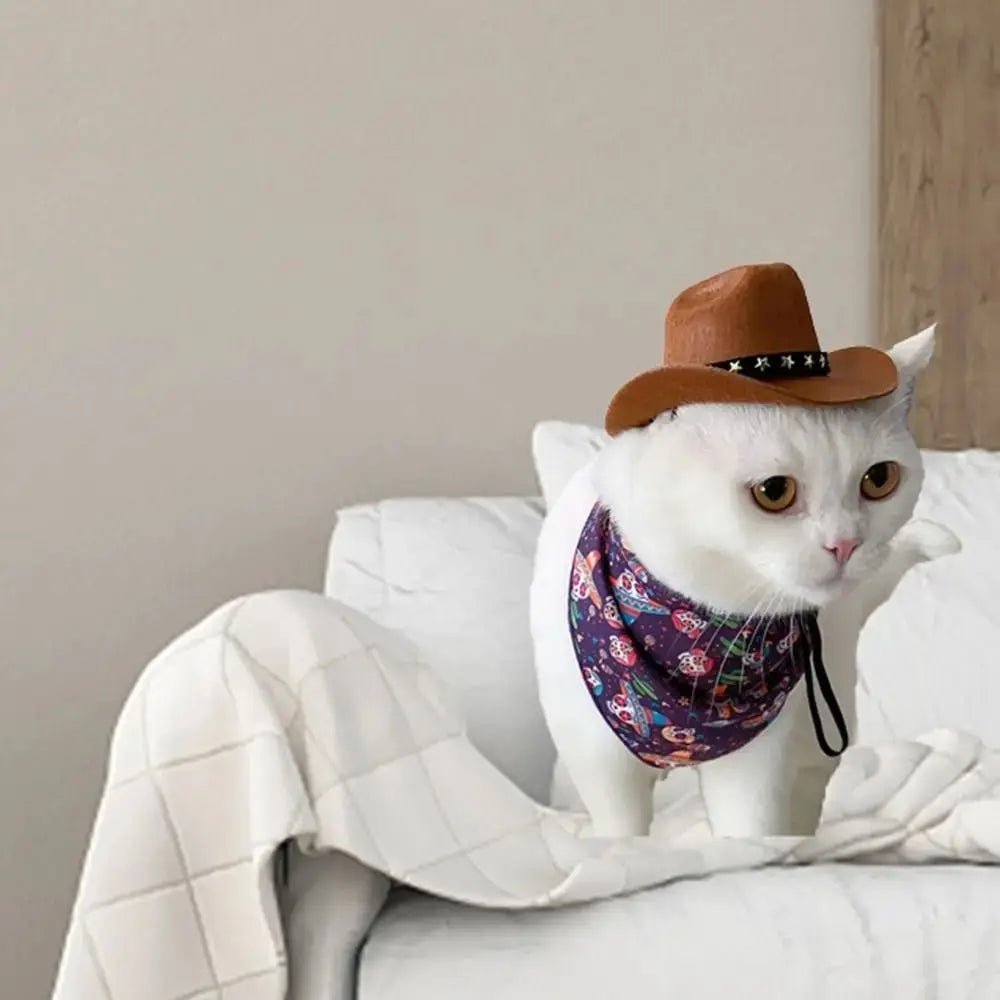 Cowboy Hat for Cats and Small Dogs