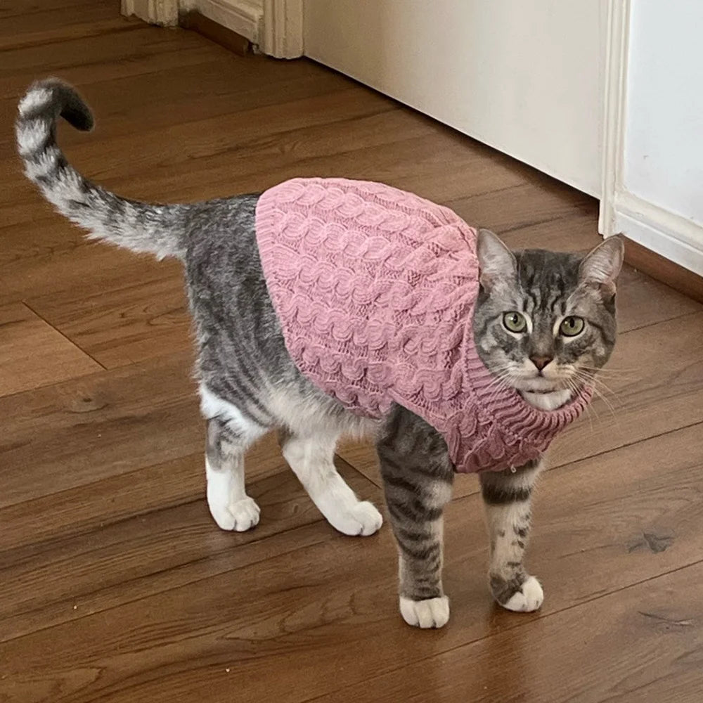 Cable-Knit Jumper for Sphynx and Small Cats