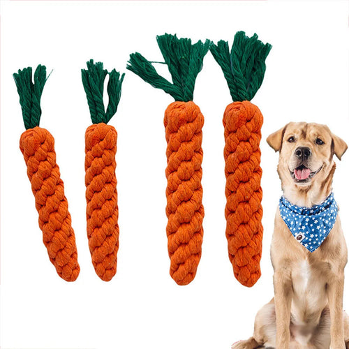 Braided Carrot Rope Dog Toy