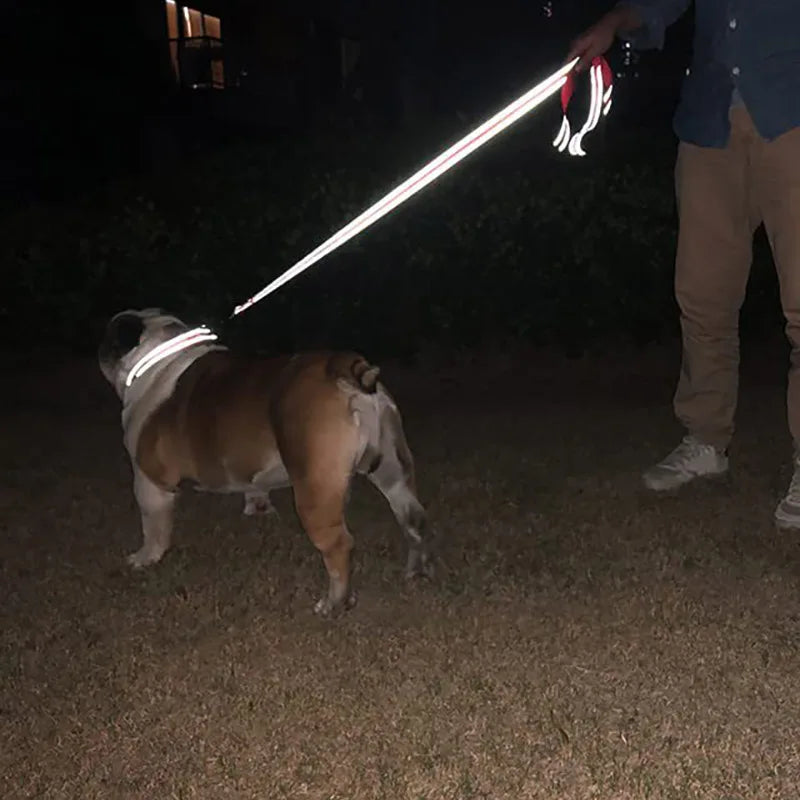Reflective Padded Dog Lead, 1.2 to 1.8 m