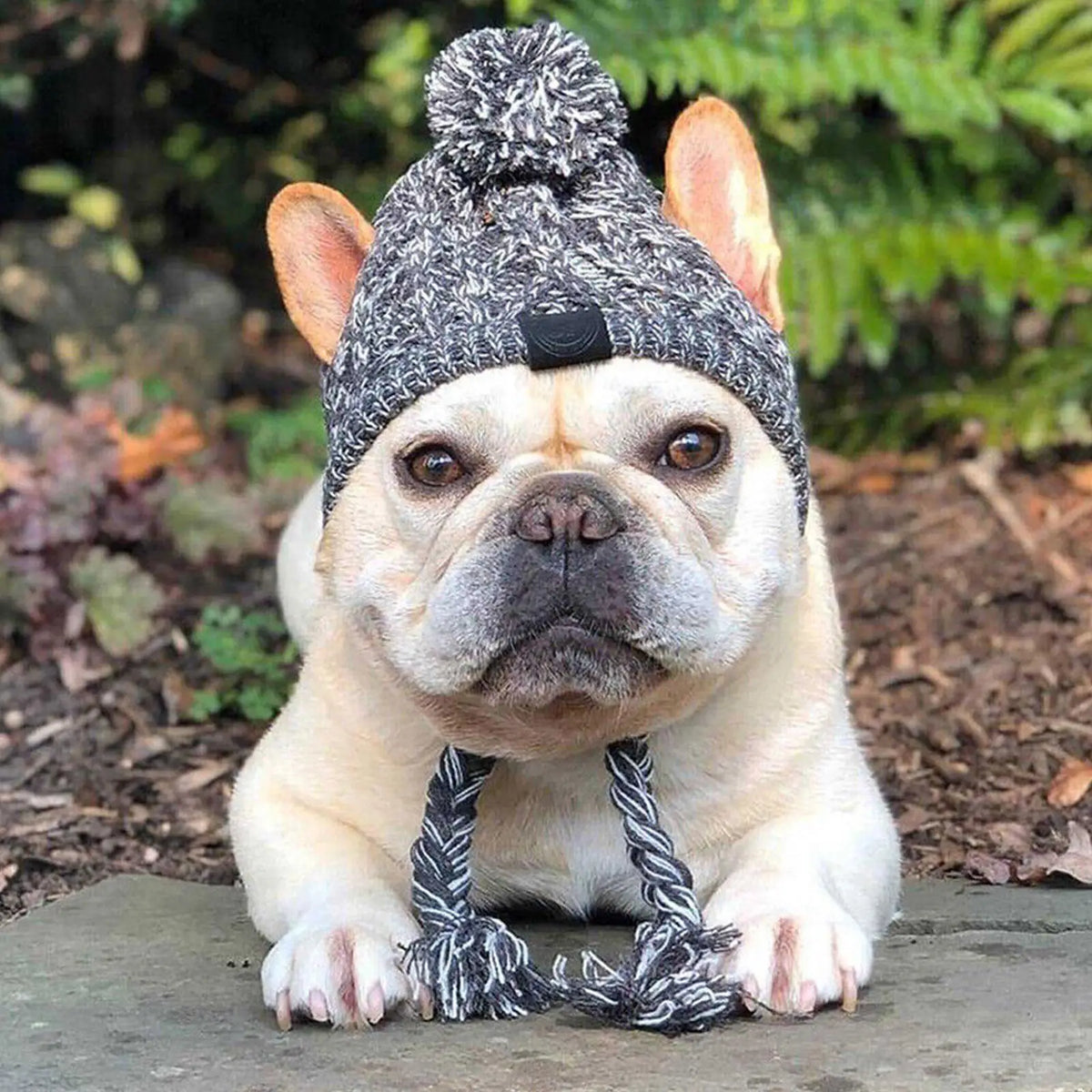 Knitted Bobble Hat for Dogs