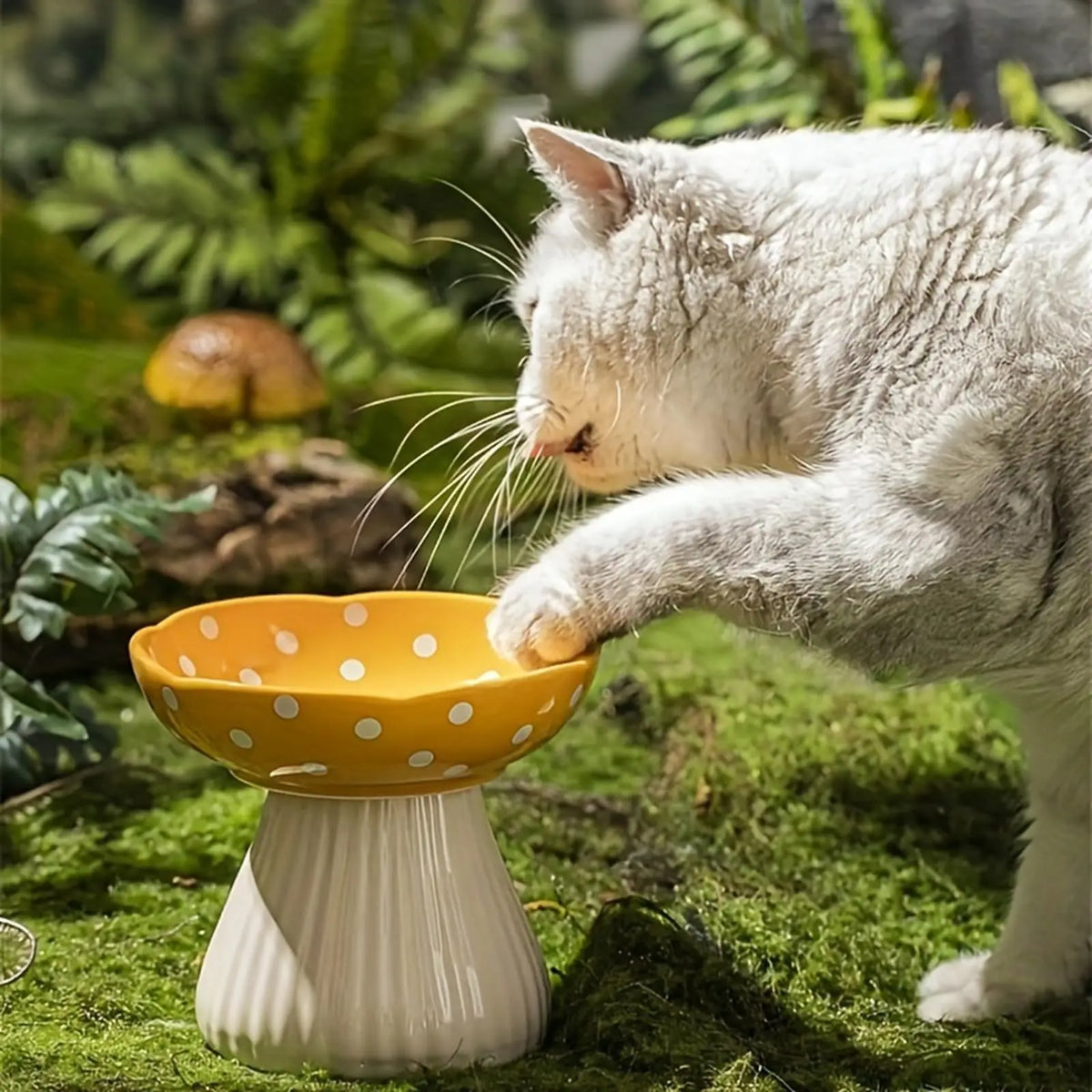 Mushroom Ceramic Cat Bowl