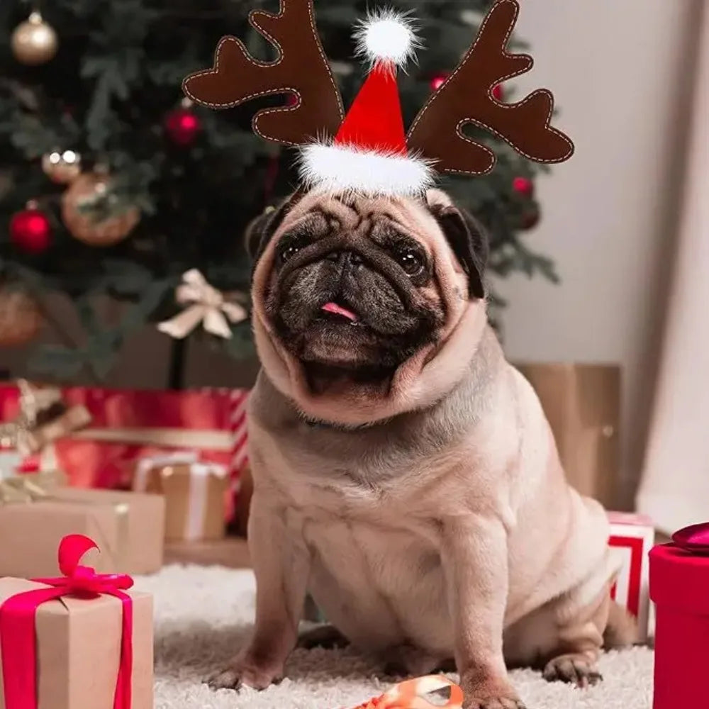 Christmas Antler Headband for Pets