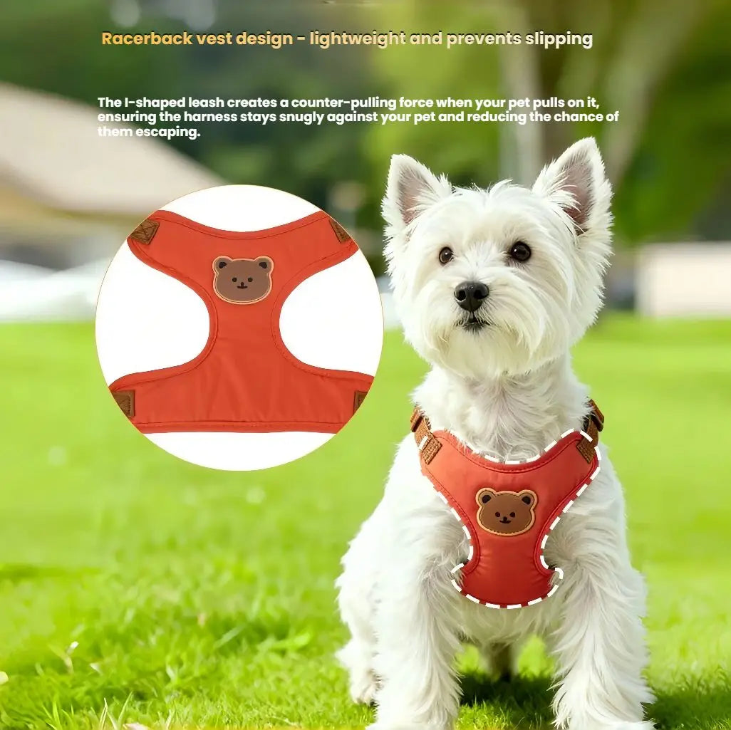 Plaid Harness and Lead Set for Small Dogs and Cats