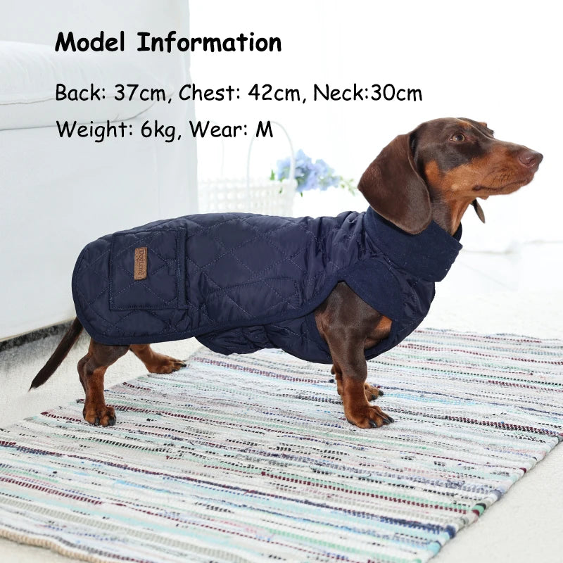 Quilted Winter Coat for Dachshunds