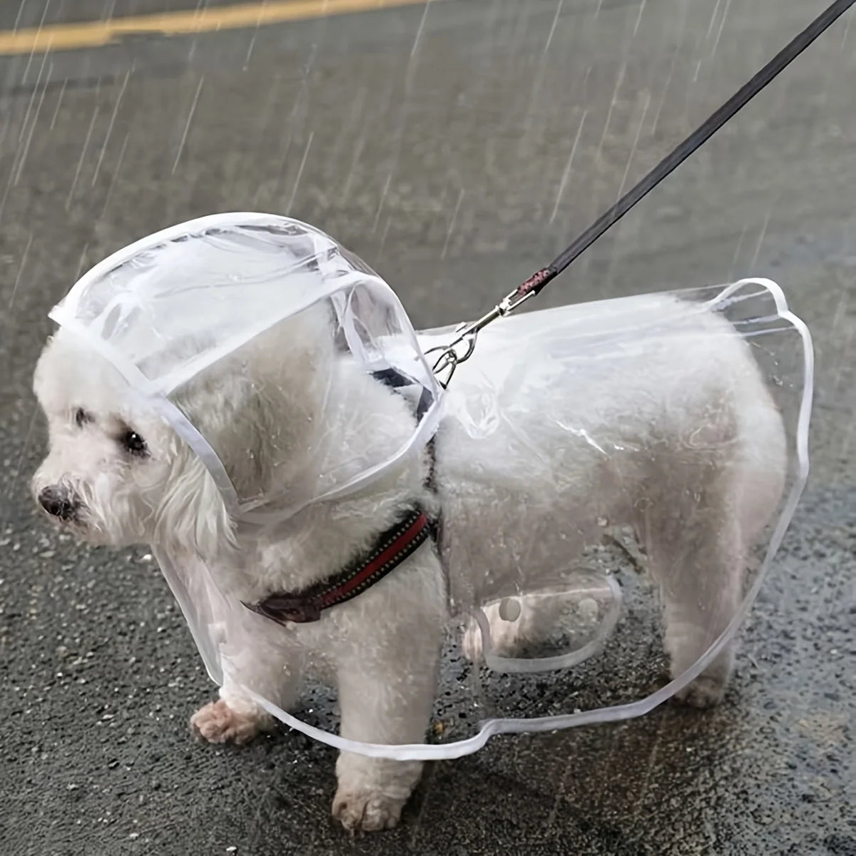 Clear Hooded Dog Raincoat