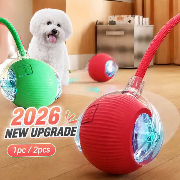 Automatic Rolling Ball Dog Toy, USB Rechargeable