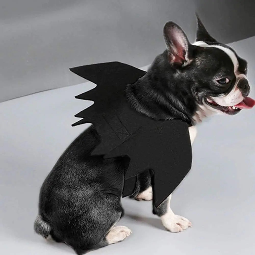 Bat Wings Halloween Costume for Cats and Small Dogs