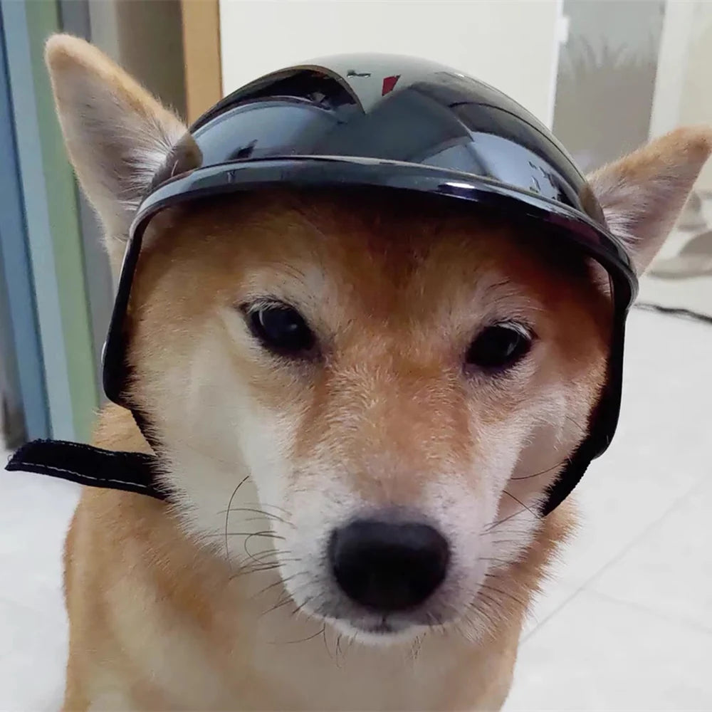 Motorbike-Style Dog Helmet