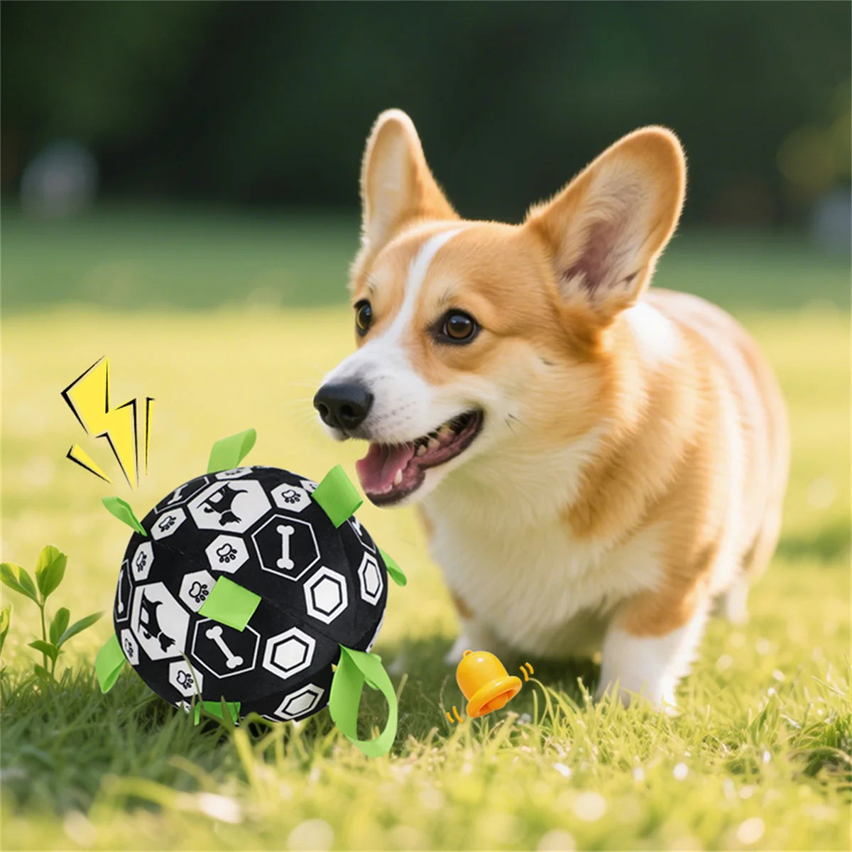 Football with Grab Tabs for Dogs