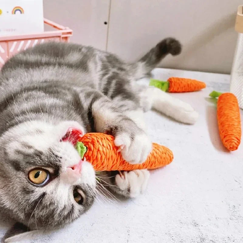 Paper Rope Carrot Cat Toy