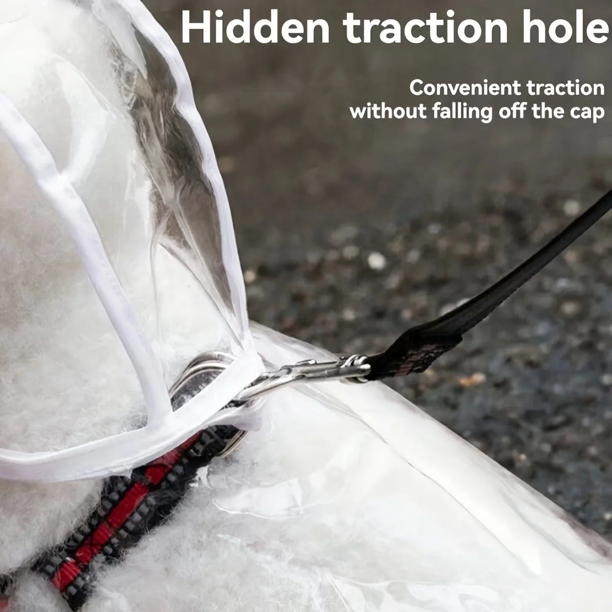 Clear Hooded Dog Raincoat
