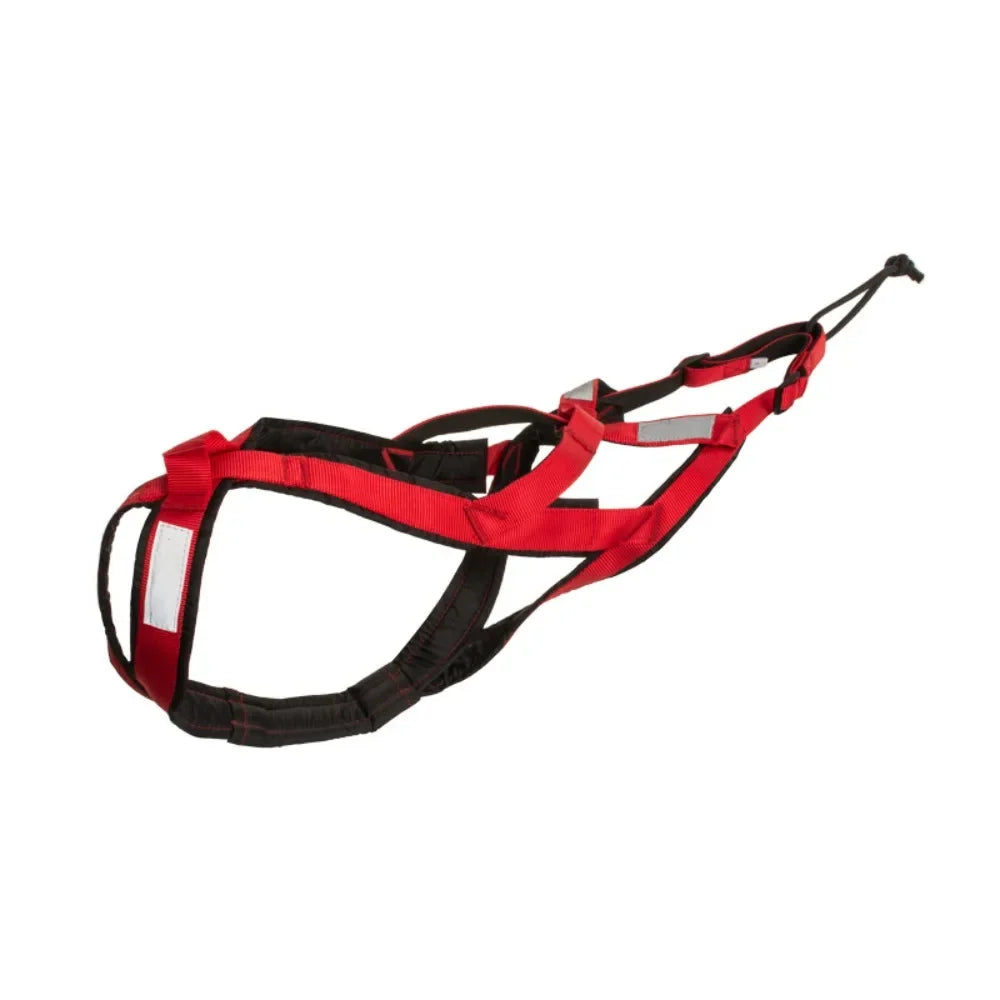 Sled and Canicross Pulling Harness - Red / M