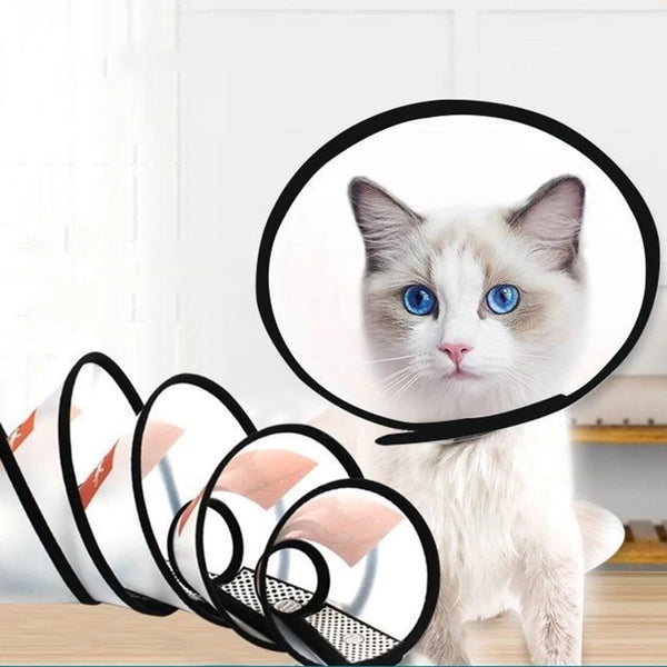 Clear Recovery Cone