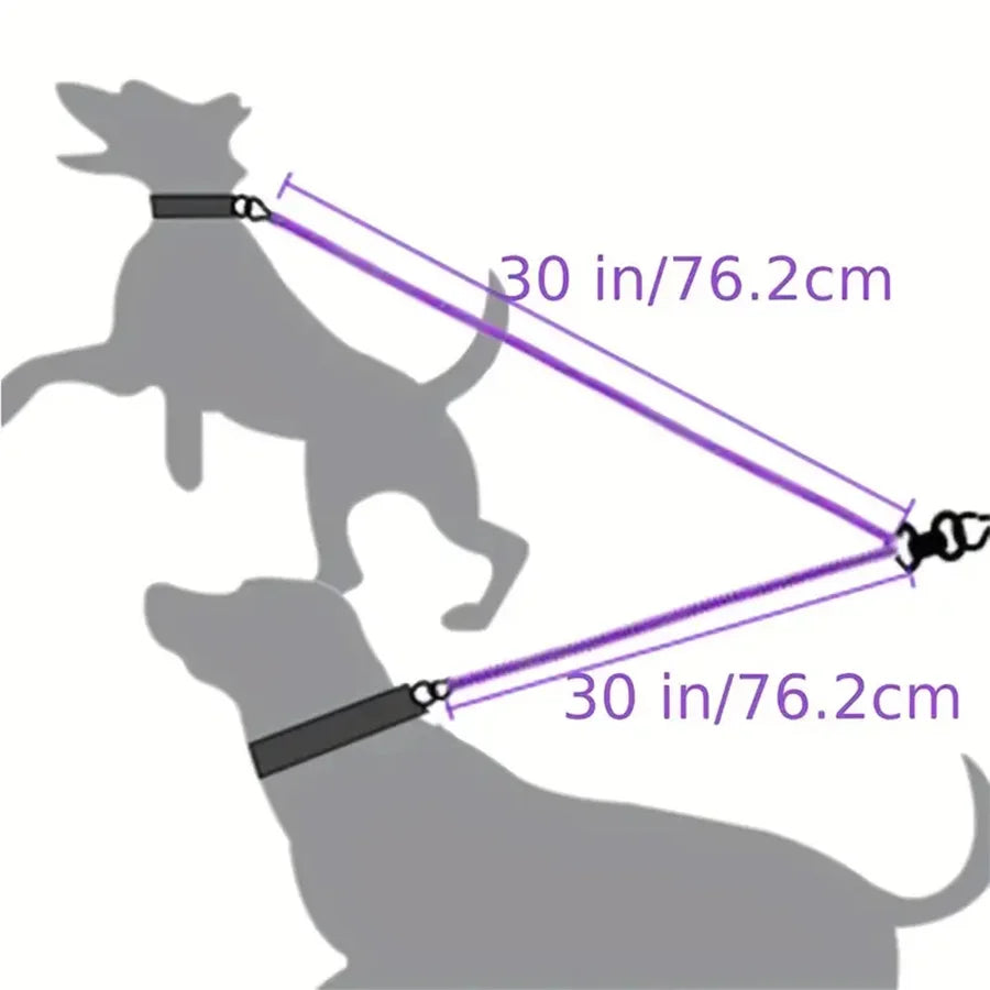 Double Lead Coupler for Two Dogs